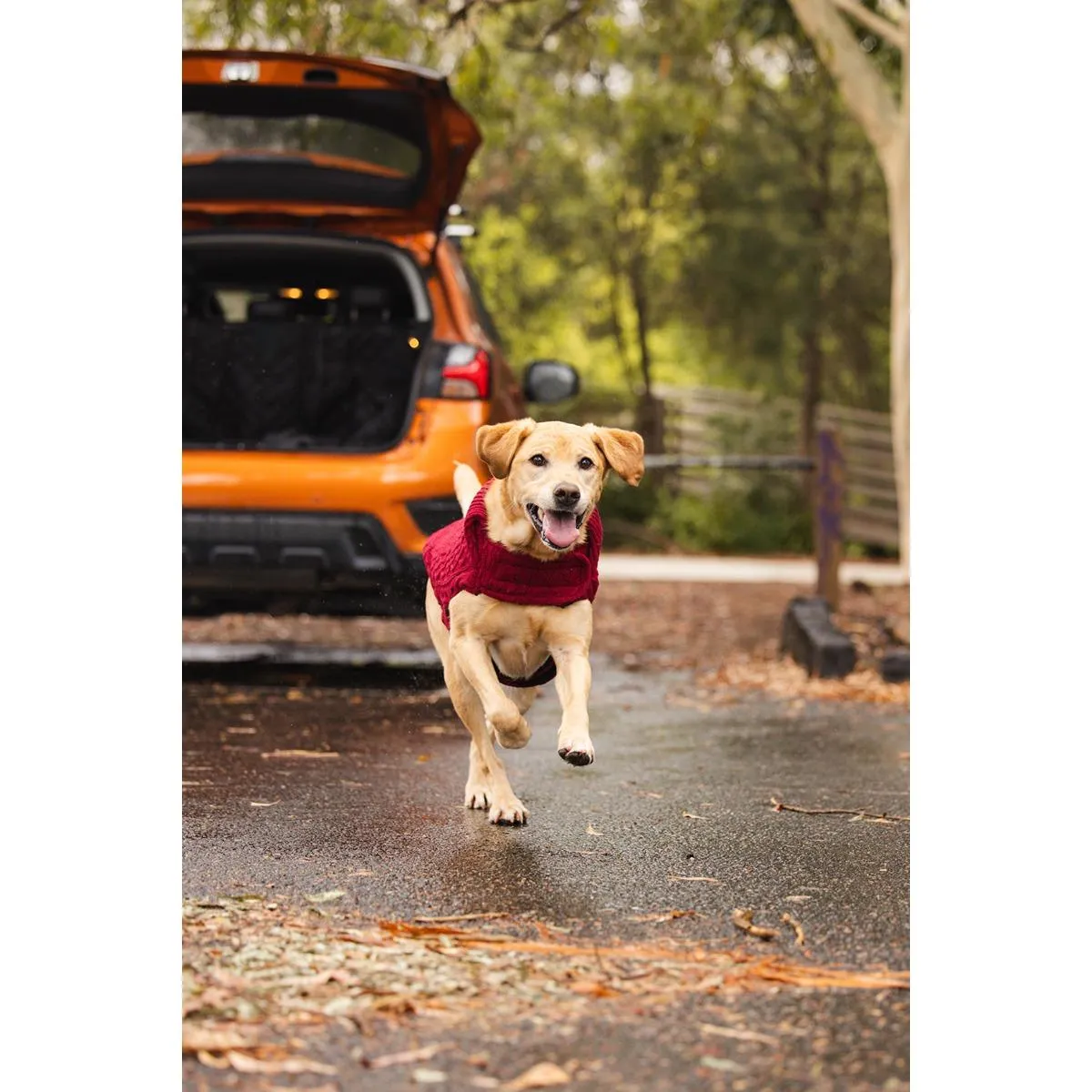 Ruff n Rugged The Woolly Dog Jumper Burgundy Red